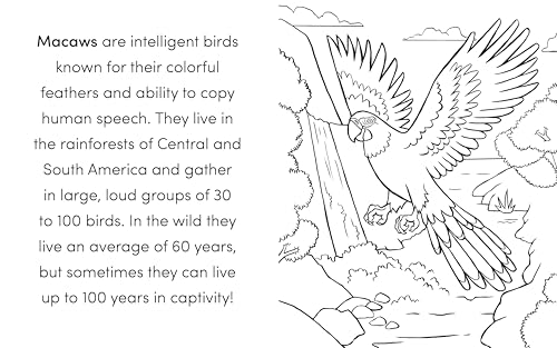 Bird Book for Kids: Coloring Fun and Awesome Facts (A Did You Know? Coloring Book) - Image 6