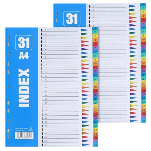 NINGYER 2 Pièces Intercalaires Classeur A4 en Plastique, 30 x 22.5cm Intercalaires Classeur A4 31 Couleur Onglets pour Pochette Plastique A4s, pour Maison,...
