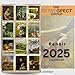 Retrospect Group, Renoir Square 2025 Wall Calendar