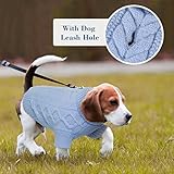 Hjumarayan Hundepullover Kleine Hunde - Schlicht & Elegant Hunde Pullover, Warm Hundepullover mit Geschirrloch, Schöner Hundepulli mit Beinen Hund Pullis für Chihuahua (Blau XS)