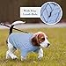 Hjumarayan Hundepullover Kleine Hunde - Schlicht & Elegant Hunde Pullover, Warm Hundepullover mit Geschirrloch, Schöner Hundepulli mit Beinen Hund Pullis für Chihuahua (Blau XS)
