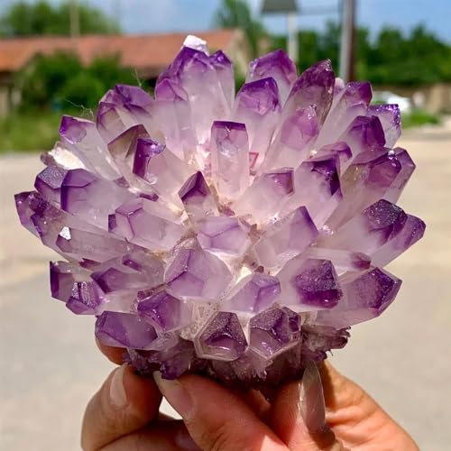 Cluster d'améthyste violette de 310-350g pour décoration
