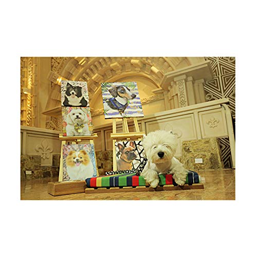 Cama Deck Madeira Modernpet Tam. Grande - Listra Collors