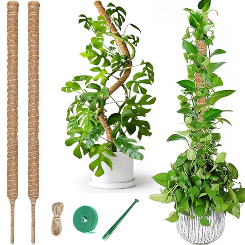 Preisvergleich Produktbild Atwlux Große Monstera Rankhilfe, 2 Stück 120cm Pflanzenstütze für Kletterpflanzen, Biegsame Moosstab für Monstera, Handgefertigt Kokosstab Pflanzstab zur Unterstützung von Zimmerpflanzen