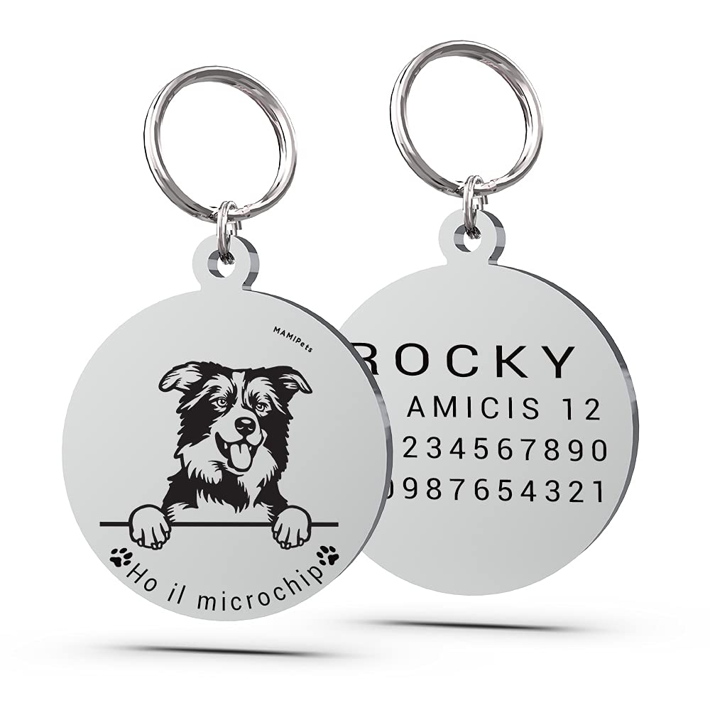 Gativs Targhetta Cane 30 Pezzi Targhetta Per Cani