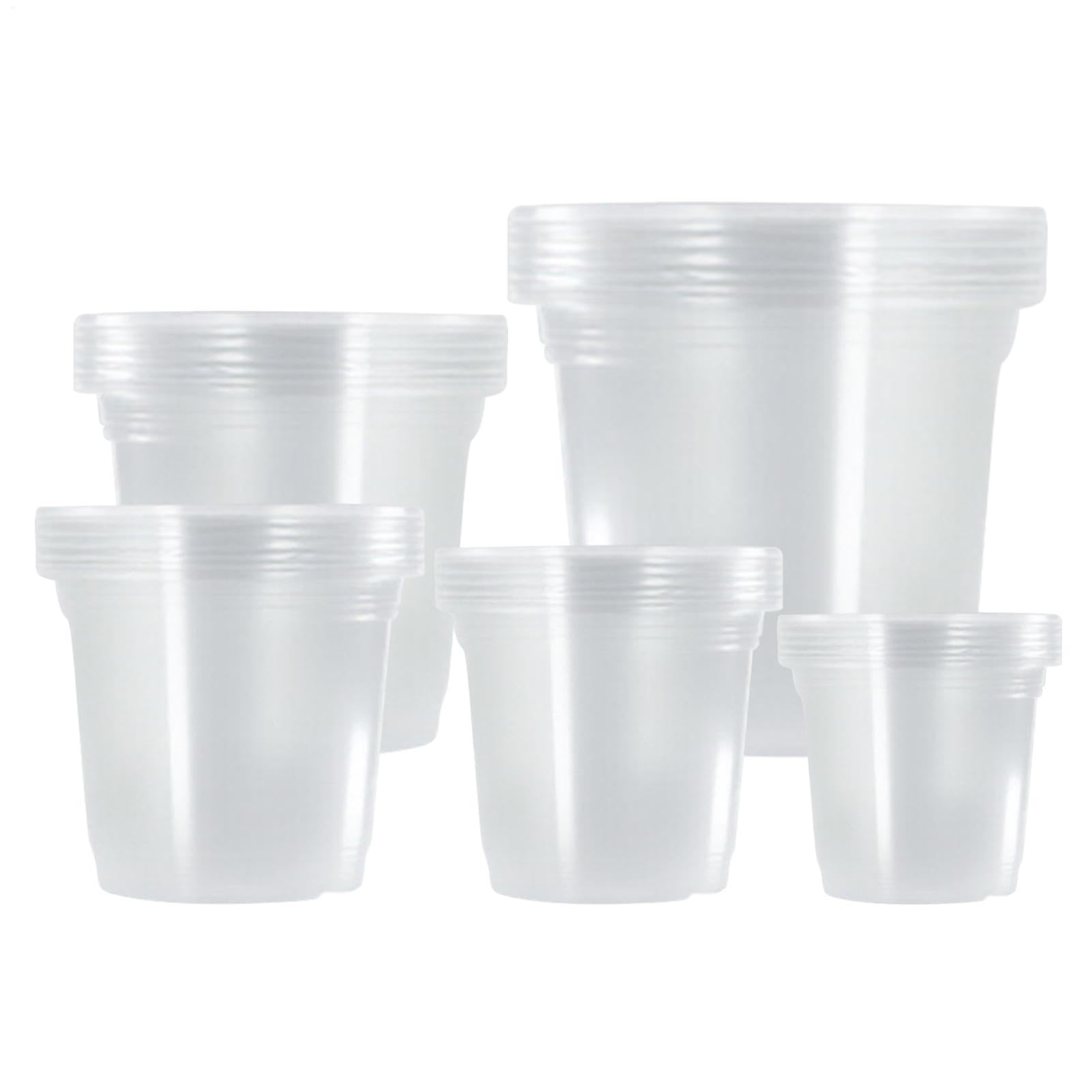 Pequeños tiestos plantas transparentes para decorar tu terraza interior y cultivar esquejes