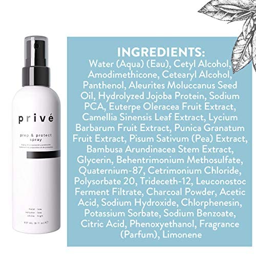 Privé Prep & Protect Spray – Blow Dry Spray, Heat Protectant Spray For Hair – Heat Shield, Thermal & Hot Tool Protection, Hydration And Extra Shine For All Hair Types (8 Oz) #TOP4