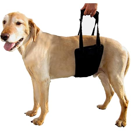 Amazon Pp Dd 老犬に歩行補助介護ハーネス トイレの補助に 後足専用の介護ハーネス 大型犬 中型犬 後ろ足サポート Pp Dd ハーネス 通販