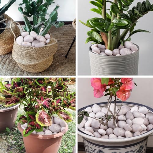 Image of 20Ib White River Rocks for Landscaping- High Polished Pebbles for Plants-Garden Decorative Stones-1-2 Large Plant Rocks,Ideal for Aquarium, Home Decor