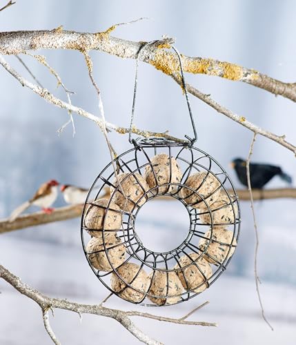 Dehner Natura Wildvogelfutter, Meisenknödel, ohne Netz, 30 Stück je 90 Gramm (2.7 kg)