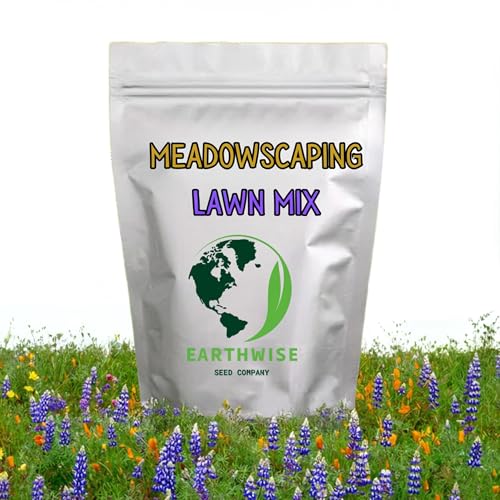 Grass Seed Blends For Low Maintenance And Minimal Mowing