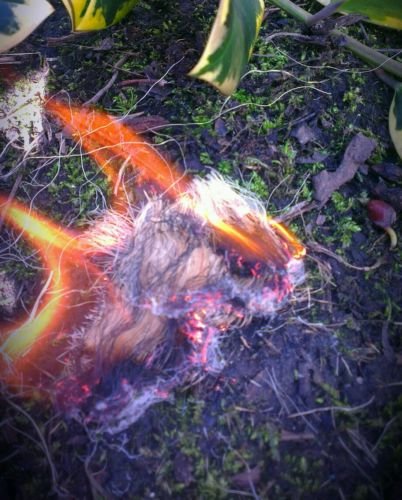 Lente d'ingrandimento compatta, con kit per