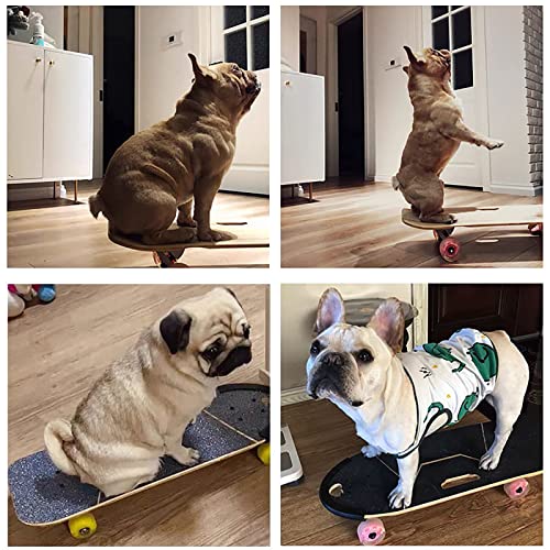 KJLYLPP Pet Skateboard with Surf Stand