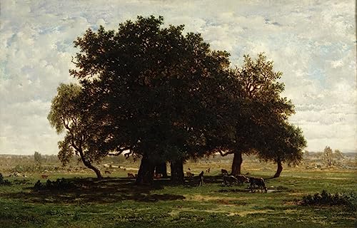 Pintura lienzo Holm Oaks Apremont cuadro decorativo de salon rustico