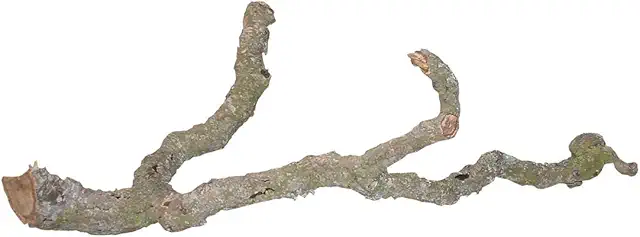 Lucky Reptile 64138 "Tronchos Corcaster 90-120 cm