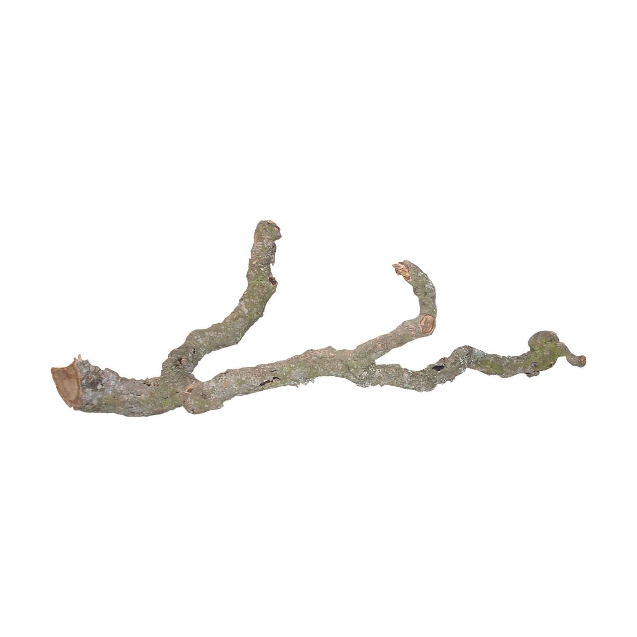 Lucky Reptile DLT-M Tronchos Rami, 90-120 cm