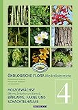 Ökologische Flora - Nieder-Österreichs Pflanzenwelt entdecken und bestimmen: Band 4- Holzgewächse (Bäume, Sträucher und Lianen), Bär- Lappe, Stachelhalme und Farne (avBuch im Cadmos Verlag)