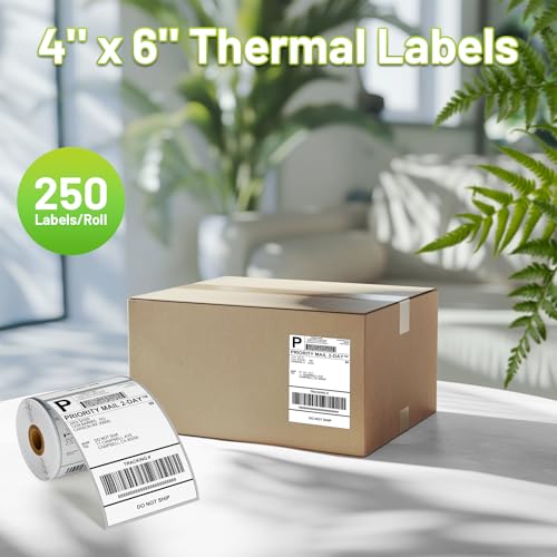 Image of 4x6 Thermal Labels, Pack of 250 4x6 Roll Shipping Labels