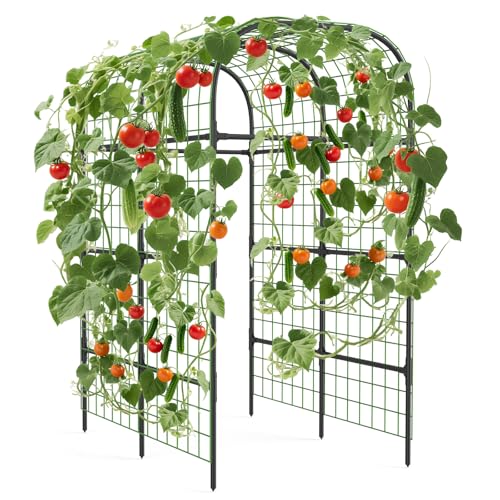 GarveeLife Metal Garden Arch Trellis 7.3 FT, Cucumber & Melon Trellis for Raised Beds, u-Shape Plant Support with Plastic Connectors for Climbing Vegetables, Grapes & Roses, Black
