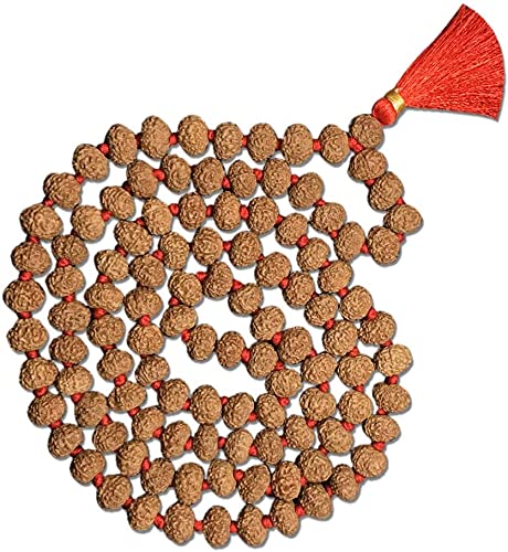 Mautik Sadiwala 9 Mukhi Rudraksha Mala,Certified Energized 9 Nine Face Rudraksha Mala 108+1=109 Beads Rudraksha Mala (9 Mukhi Rudraksha Mala) (B093FYZKSK) Amazon Price History, Amazon Price Tracker