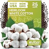 25 White Cotton Seeds for Planting, Gossypium Hirsutum