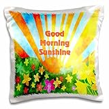 3D Rose Image of Watercolor Sunrise with Good Morning Sunshine Pillow Cases, 16 x 16