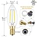 Hizashi 12 Pack 2W (2 Watt) Fully Dimmable 90+ High CRI 5000K LED Filament Bulbs, 20-25 Watt Equivalent, 200 Lumen, B10 LED Candelabra Bulbs, Daylight 5000K E12 Socket for Chandelier, UL Listed