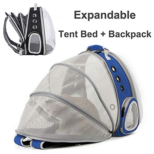 Mochila expansível para transporte de gatos, bolsa transparente para cães pequenos, mochila de viage