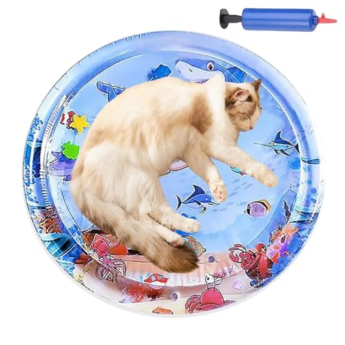 Tapis d'eau pour chats : la solution contre l'ennui et la chaleur estivale