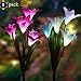 Outdoor Solar Lights, Solar Garden Lights - 2 Pack Lily Solar Powered Flower Lights Stake Lights for Garden Decorations, Patio,Yard Decoration, Multi-Color Changing Lawn Solar Lights Solar Panel