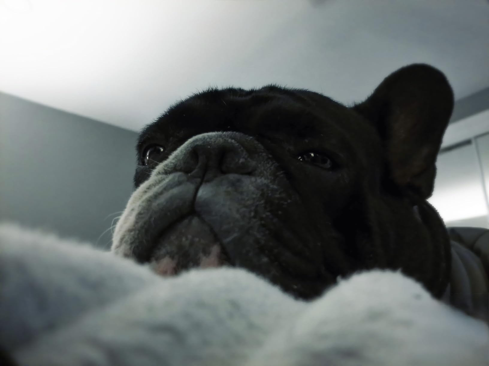 Quality photos, good price.