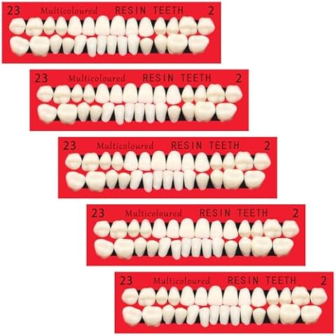 5 Sets Acrylic Resin Fake Teeth Complete Acrylic Resin Denture Teeth Dental Teeth Dentures Upper and Lower Synthetic Polymer Tooth Denture for DIY Halloween, Dental Teeth Teaching, 140 Pcs, 23 A2 Cover
