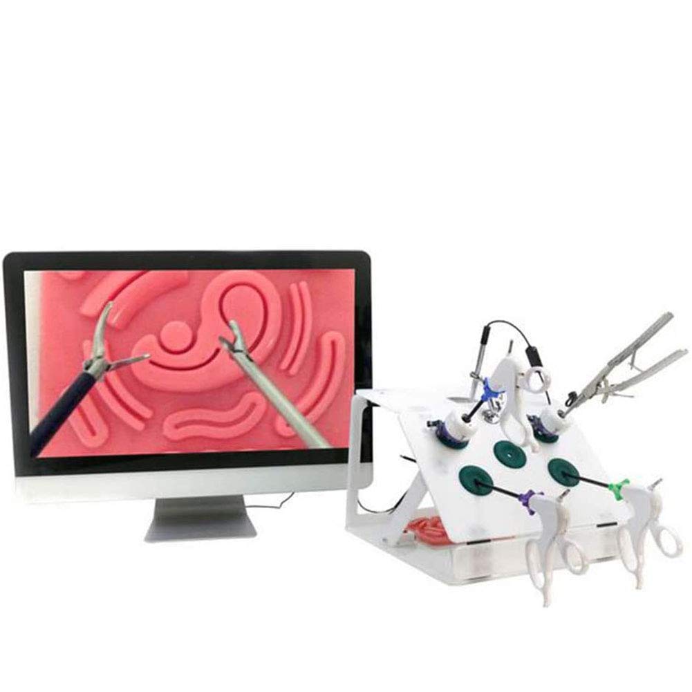 Laparoscopic Surgery Training Box with 4 Surgical Instruments and 6 Training Modules for Student Training