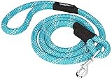 ZippyPaws Climbers Rope Heavy Duty Dog Leash - Thick Leashes for Large Breed Dogs, Durable 2/3'' Climbing Rope, 6 Feet Long, Comfortable Woven Design, Tested Strength Over 3000 lbs - Teal