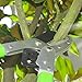 KSEIBI 252606 Anvil Lopper with Telescoping Aluminium Light-weight Handle, Tree Trimmer, Branch Cutter, Loppers, Pruning Shears, Garden Pruners Up to 2 Inch Cutting Capacity, 28 ~ 40 Inch