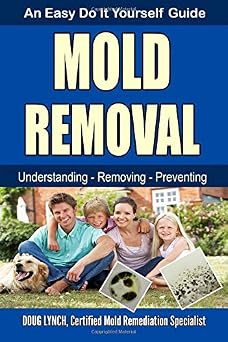 Mold Removal An Easy Do It Yourself Guide
