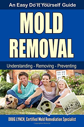 Mold Removal: An Easy Do It Yourself Guide