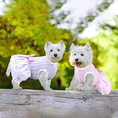 Puppy Clothes For Small Dogs Girl Dog Clothes Dog Dresses For Small Dogs Dog Wedding Dress Dog Outfit For Chihuahua Yorkie Clothes Dog Tutu 3 Pieces (# 1, Xx-Large) #TOP5