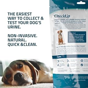 CheckUp Kit at Home Wellness Test for Dogs | Telescopic Pole, Detachable Cup & 2 Test Strips | Detects 4 Most Common Pet Health Indicators - Glucose, Protein, pH and Blood in Urine | 2 Strips CheckUp Kit at Home Wellness Test for Dogs | Telescopic Pole, Detachable Cup & 2 Test Strips | Detects 4 Most Common Pet Health Indicators – Glucose, Protein, pH and Blood in Urine | 2 Strips