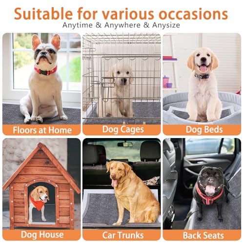 Image of Dog Pee Pads, 47x31 inches, Extra Large Disposable Training Pads with Activated Carbon, 30 Count
