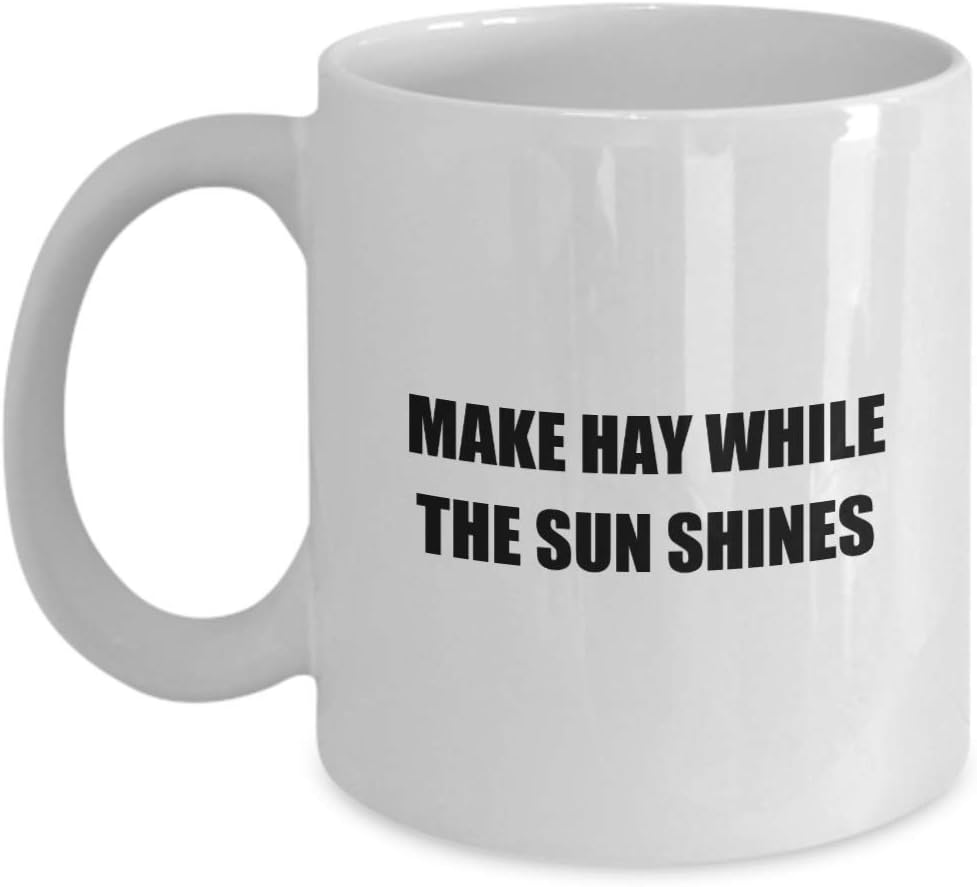 Classic Coffee Mug -Make HAY While The Sun Shines- White 11oz