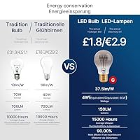 FLSNT Dimmbar E27 LED Warmweiss, A60 LED Spiral Filament Edison Glühbirne Vintage, 4W(Ersetzt 25W), 150LM Deko Glühbirne, 1800K Warmweiß, Rauchgrauglas, 2 Stück – Ansicht 4