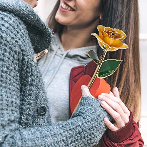 24K Gold Rose with Clear Display Stand, Long Stem Dipped Flower Gift for Her Made of Fresh Rose, Last Forever Mother's/Thanksgiving/Christmas/Valentine's/Birthdays Party/Graduations/Weddings (Yellow)