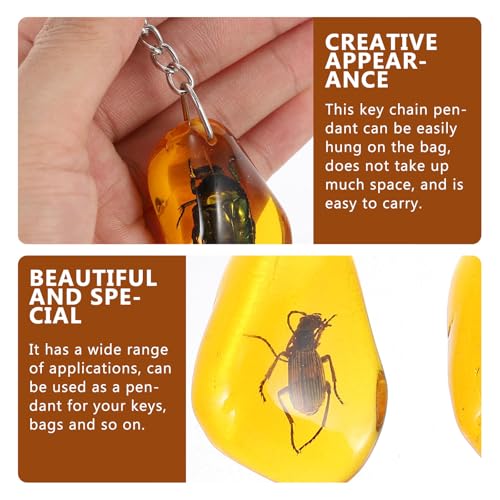 Image of balacoo Insect Specimen Keychain- 12Pcs Creative Insect Amber Specimen Pendant, DIY Key Ring