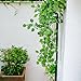 AKORD Atificial Fake Hanging Vine Plant Leaves Decoration, Fabric, Green, 90 x 40 x 10 cm
