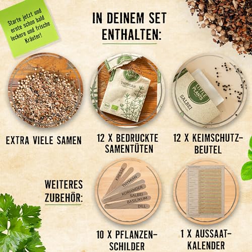 Gemüsesamen Little Plants Bio Set mit 12 Sorten für Garten und Balkon