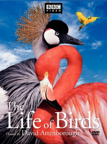 Life of Birds, The (DVD)