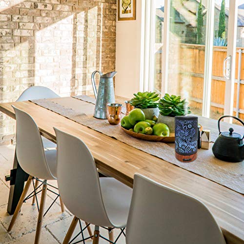 Casido Essential Oil Diffuser Metal Aromatherapy Diffuser 100Ml Cool Mist Ultrasonic Diffuser With Waterless Auto Shut-Off Protection,7 Colors Changed Led For Home Office Bedroom #TOP6