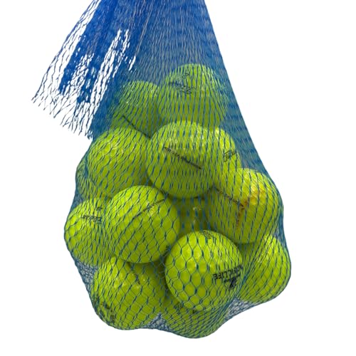 Golf Ball Planet Pro V1 2023 4A/Near Mint Recycled Used Golf Balls for Titleist (24 Pack Yellow)