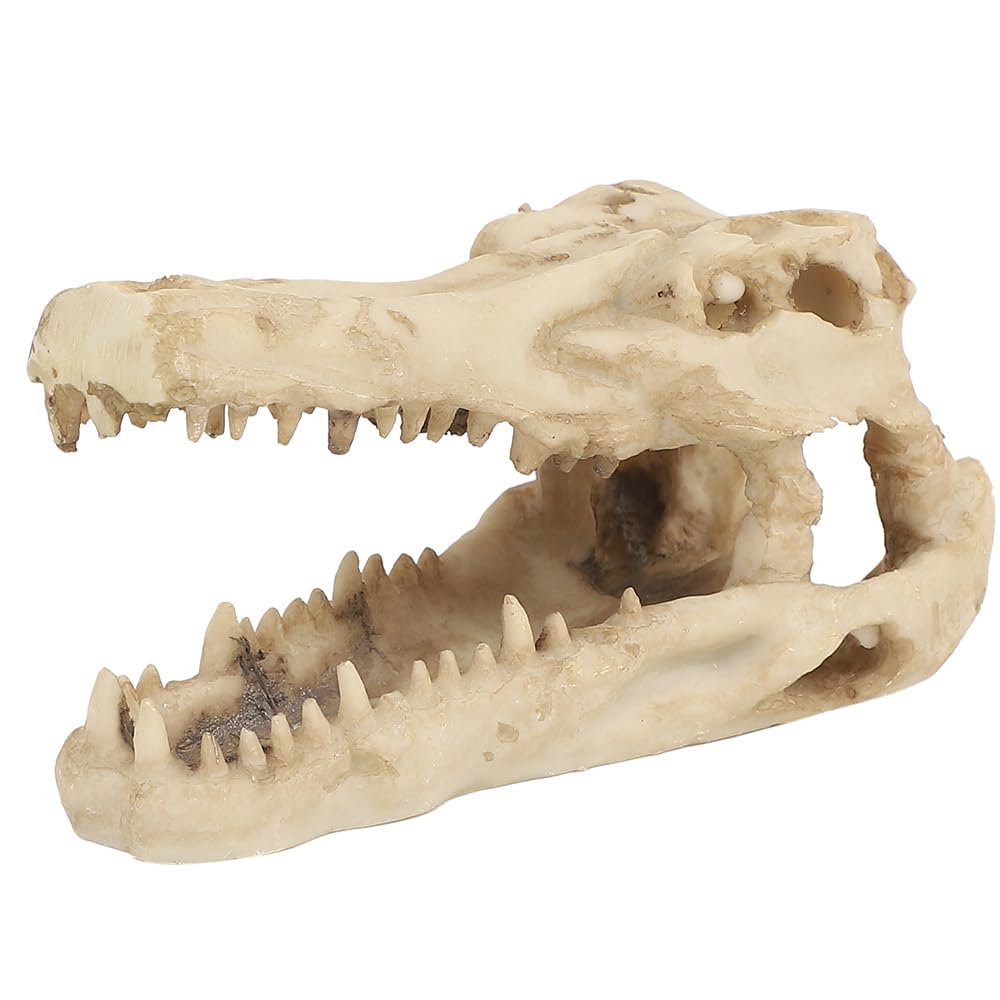 Amazon | AllBright 爬虫類シェルター 爬虫類 シェルター 隠れ家